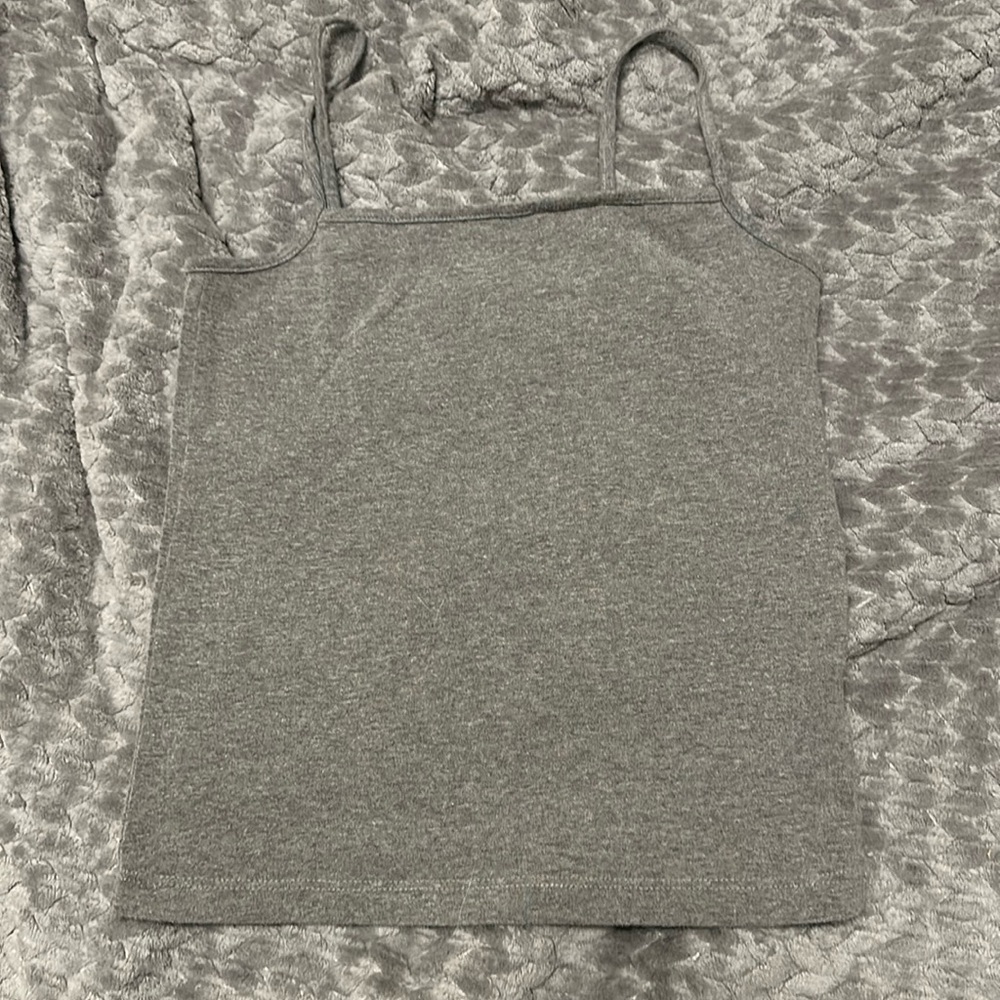 Gray crop spaghetti strap top. Size small from Wild Fable